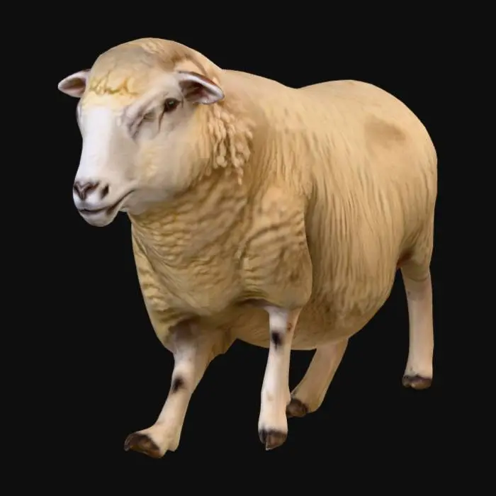 3D model for Lone Sheep