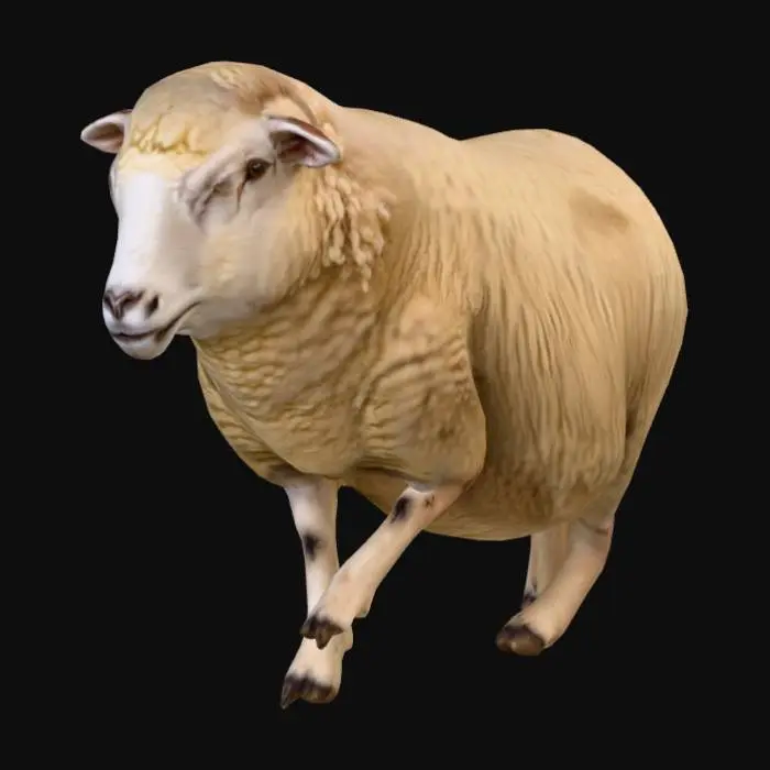 3D model for Lone Sheep
