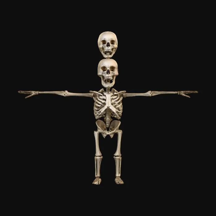 3D model for The Juggling Skeletons