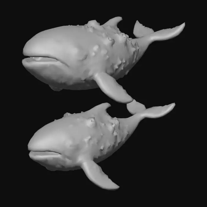 3D model for Whimsical Whales