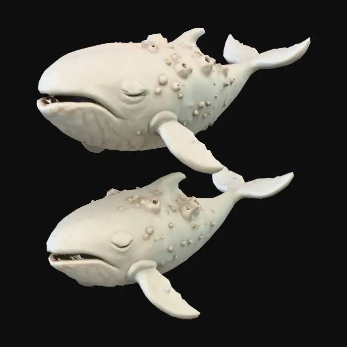 3D model for Whimsical Whales