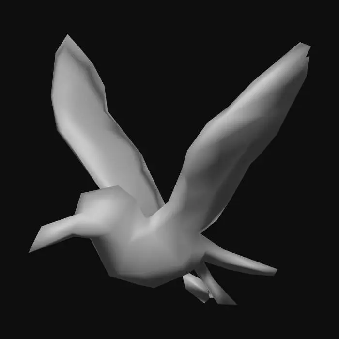 3D model for Seagull Soar