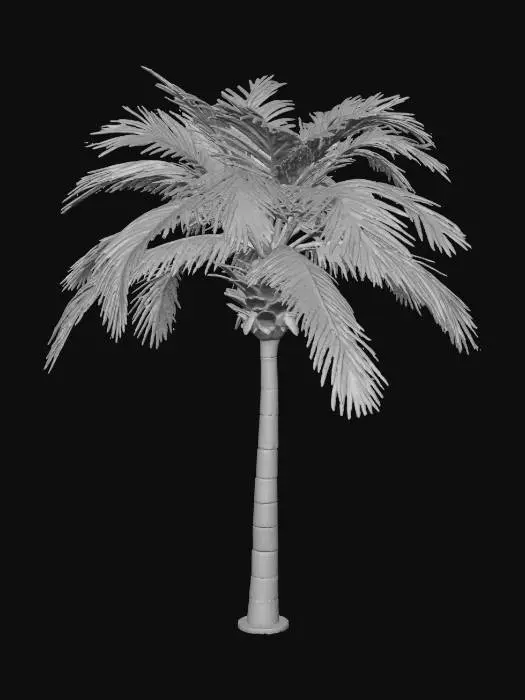 3D model for pngtree-realistic-artificial-coconut-palm-tree-png-image_17408427.png