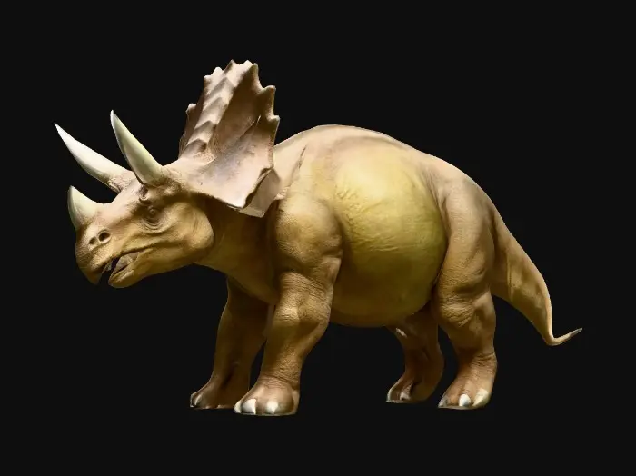 3D model for realistic triceratops with thick, textured skin and detailed scales, three distinct facial horns and a large bony frill, sturdy muscular body, calm standing pose, natural earth-toned coloration, ultra realistic and highly detailed 3D model