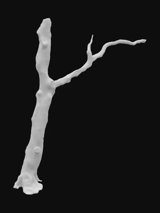 3D model for Tree Branch 