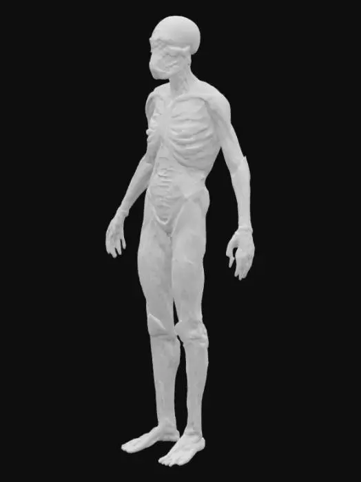 3D model for A towering 10-foot humanoid with translucent skin revealing a glowing network of 100 layered muscles, 100 parallel spines, and 100 interconnected brains pulsing with synchronized light. Clusters of 100 miniature hearts and lungs rhythmically pump vibrant blood through an intricate vascular web. The body’s multi-threaded nervous systems weave through dense muscle bundles, while dynamic circular feedback loops pulse bioluminescent signals. This bioengineered giant moves with fluid precision, embodying immense strength, adaptability, and layered consciousness beyond human limits.