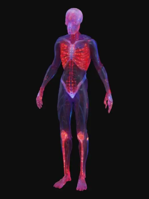 3D model for A towering 10-foot humanoid with translucent skin revealing a glowing network of 100 layered muscles, 100 parallel spines, and 100 interconnected brains pulsing with synchronized light. Clusters of 100 miniature hearts and lungs rhythmically pump vibrant blood through an intricate vascular web. The body’s multi-threaded nervous systems weave through dense muscle bundles, while dynamic circular feedback loops pulse bioluminescent signals. This bioengineered giant moves with fluid precision, embodying immense strength, adaptability, and layered consciousness beyond human limits.