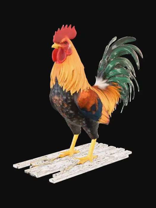 3D model for Rooster on a Wooden Raft
