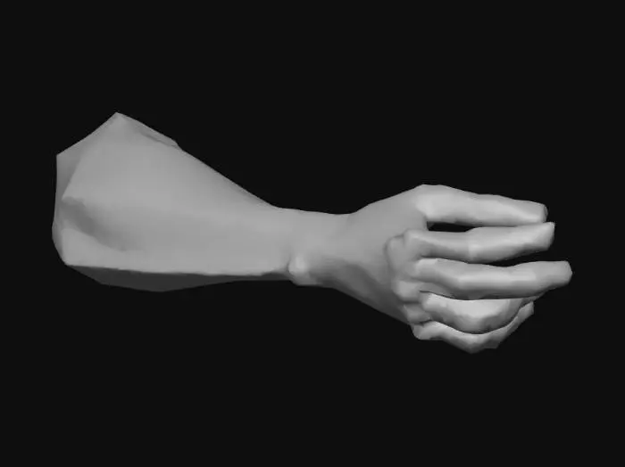 3D model for first person low poly arms