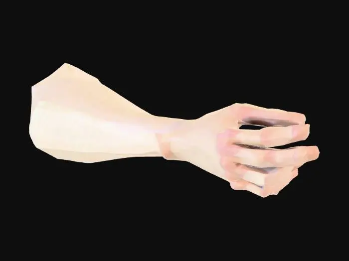 3D model for first person low poly arms