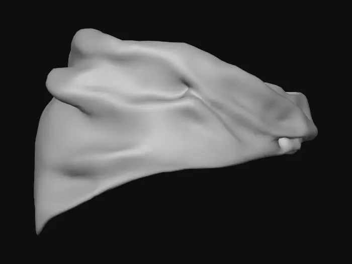 3D model for black and white pattern bandana
