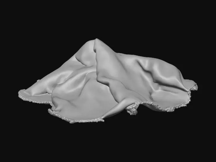 3D model for cloth rag
