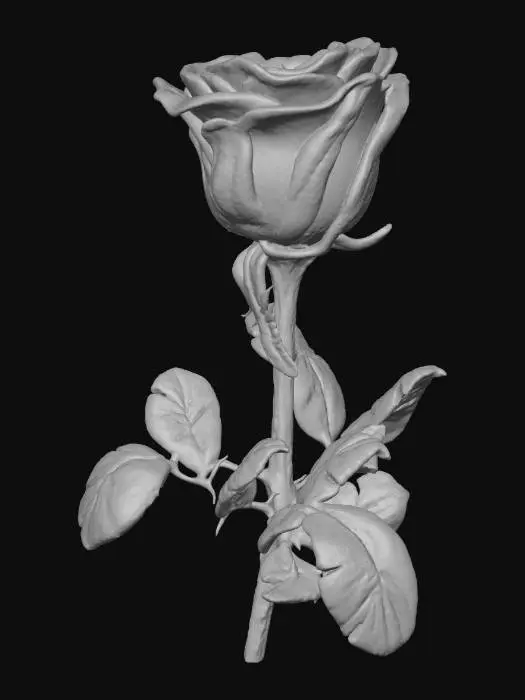 3D model for #Thanksgiving#, Red rose