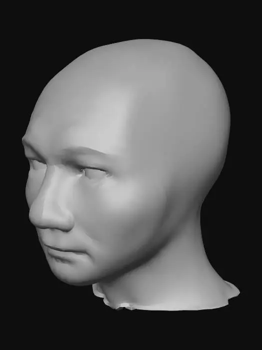 3D model for Wojak