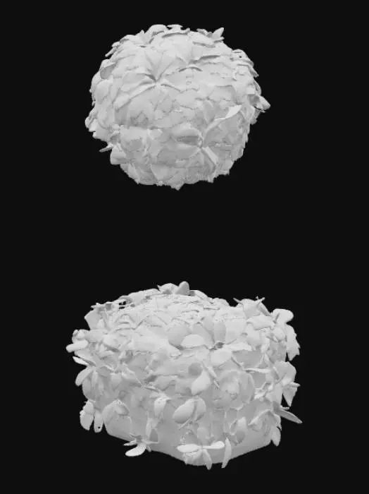 3D model for Floral Leaf Sculptures