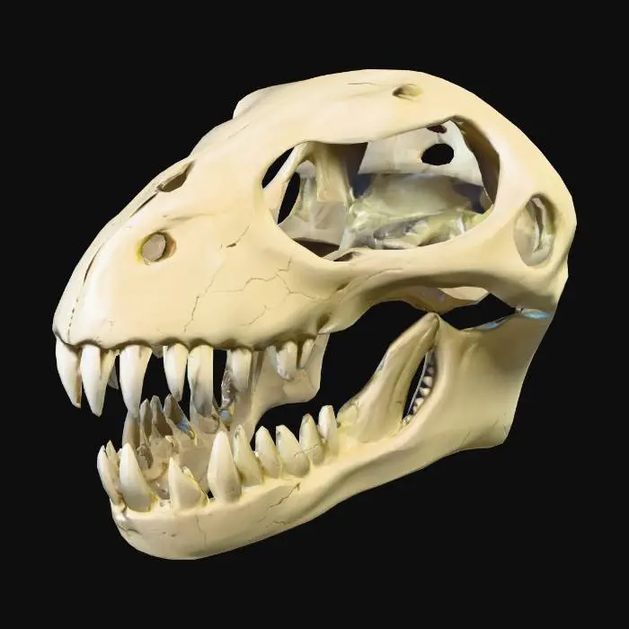 3D model for Crânio de leviatã estilizado, proporções exageradas, mandíbula imensa e escancarada, dentes grossos e pontiagudos com bases largas, formas simplificadas e blocadas, bordas levemente arredondadas, osso de cor creme saturada, rachaduras cartunescas em formato de "V", órbitas oculares circulares e expressivas, crista dorsal proeminente e curvada, dentes levemente desalinhados para dar personalidade, ausência de detalhes realistas minuciosos, foco em silhueta clara e lida fácil, sombreamento suave (cel shading), aparência de "brinquedo gigante