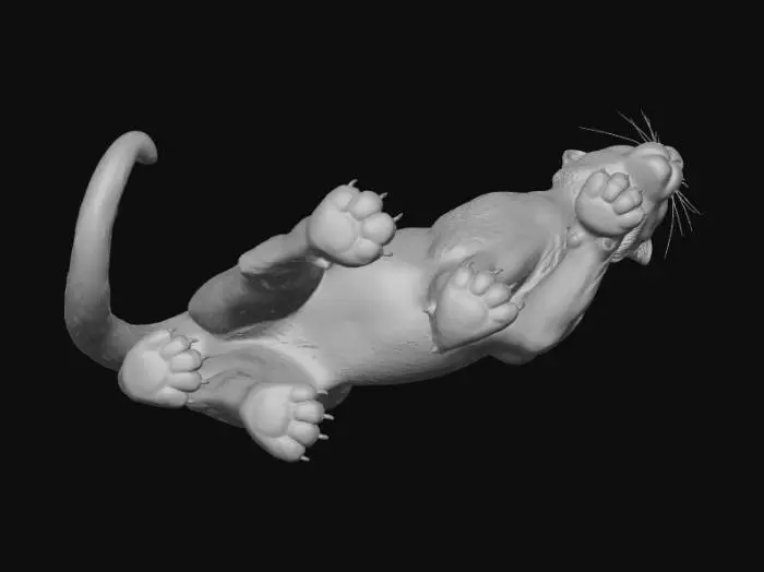 3D model for Puma in Motion
