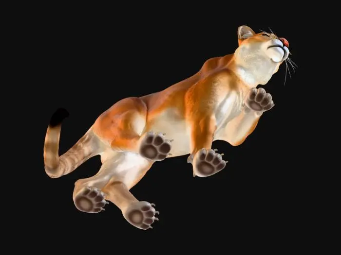 3D model for Puma in Motion