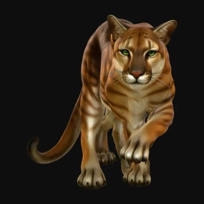 3D model for Puma in Motion