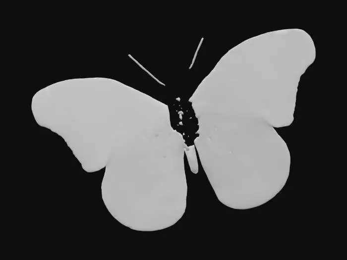 3D model for Chromatic Butterfly