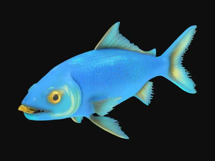 3D model for Object: Side-swimming glowing fish
Material: Glowing lure, scale body
Shape/Form: Angled head, flowing fins
Color Scheme: Blue, cyan, gold glow
Texture Details: Luminescent lure tip
Style: Stylized
Environment: Ambient fish NPC
#ocean#