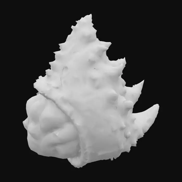 3D model for Seashell Majesty
