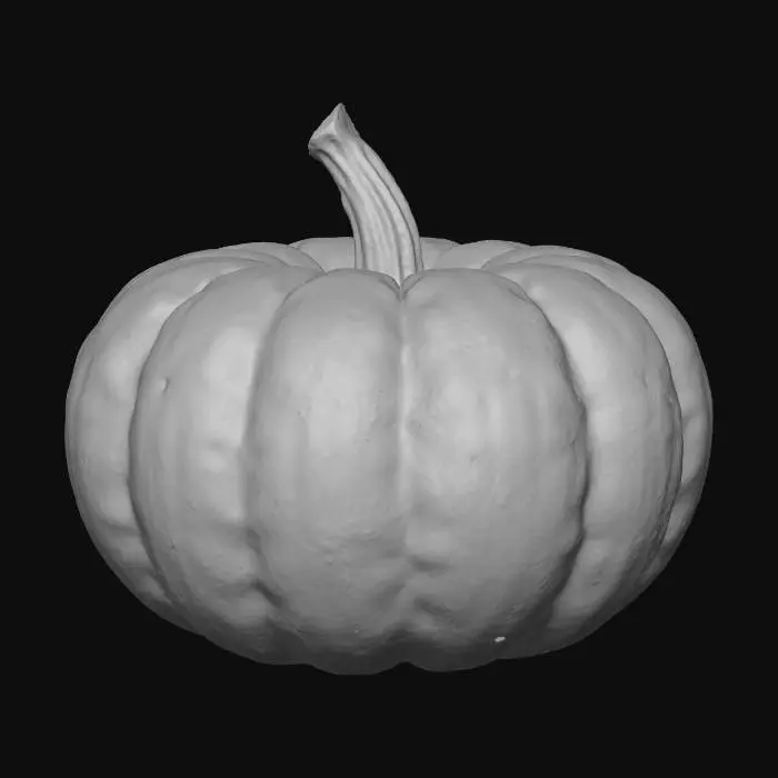 3D model for squash, game asset