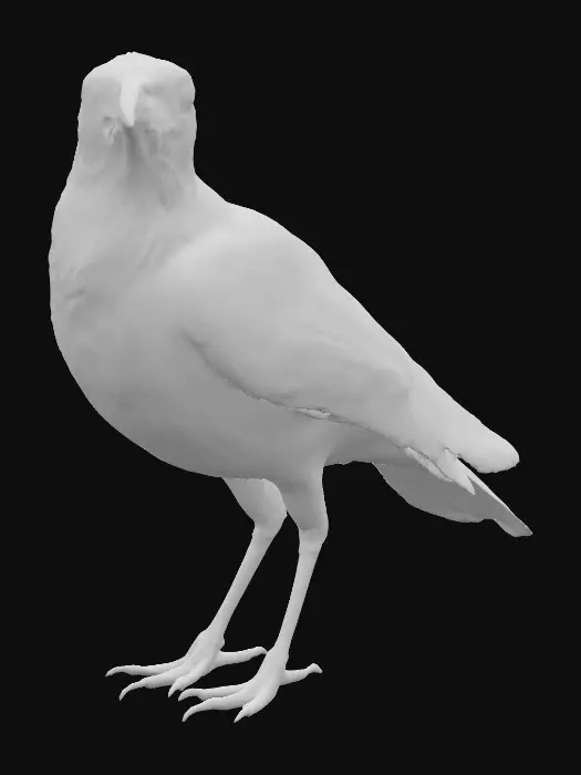 3D model for Een realistische zwarte kraai met een licht dreigende en sinistere uitstraling, maar nog steeds natuurlijk en authentiek, zonder neppe of overdreven elementen. Ontworpen voor optimale 3D-printbaarheid: minimaliseer overhangs door de vleugels en staart licht gebogen of ondersteund te houden, en vereenvoudig de veren tot bredere, minder gedetailleerde structuren zonder fijne uitsteeksels, terwijl de echte, herkenbare kraai-uitstraling behouden blijft met een sterk silhouet, scherpe bek, glanzende ogen en proporties die van grote afstand duidelijk zichtbaar zijn. Voeg een kleine, vlakke basisplaat toe onder de pootjes voor stabiliteit tijdens het staan. Maak de kraai twee keer zo groot als een echte kraai, met een focus op robuuste, printvriendelijke vormen.