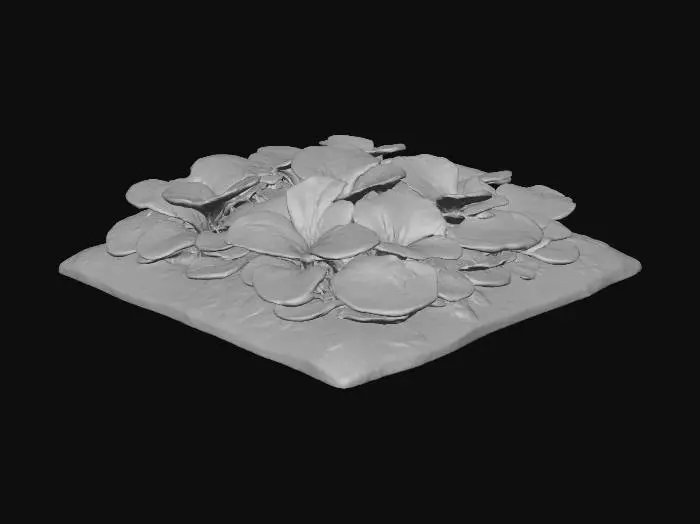 3D model for Vegetable Field Large T4