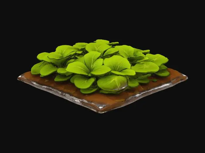 3D model for Vegetable Field Large T4