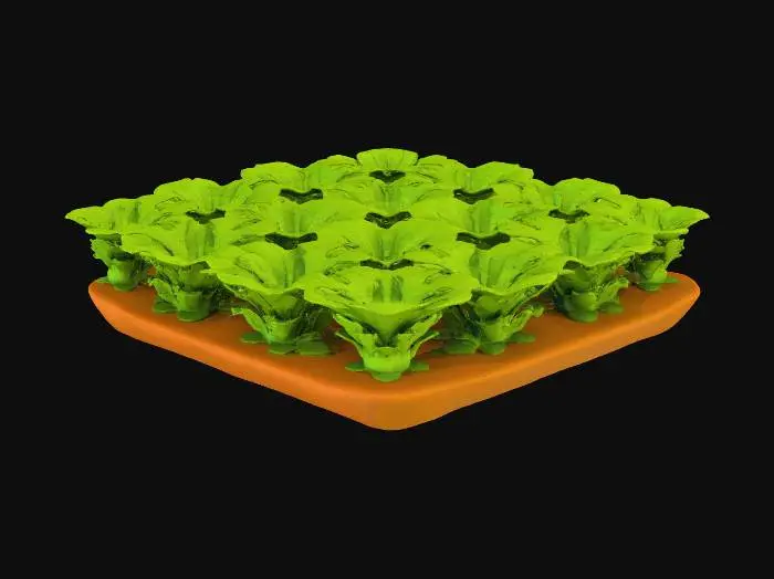 3D model for Vegetable Field Large T4