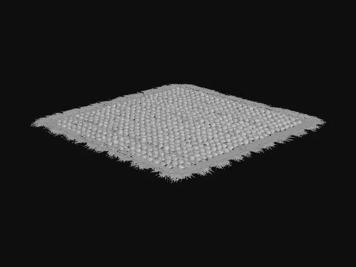 3D model for Huge Farmland Plot T2