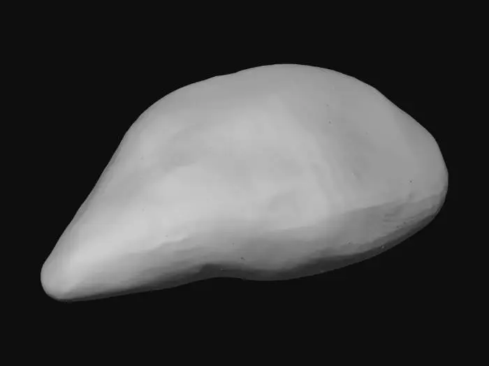 3D model for Raw Chicken Breast