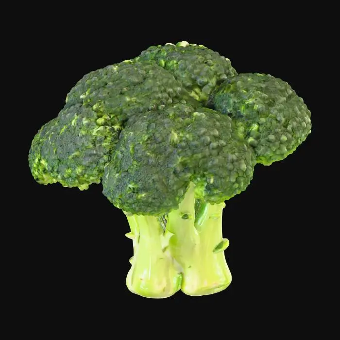 3D model for 一小块被切下的西兰花