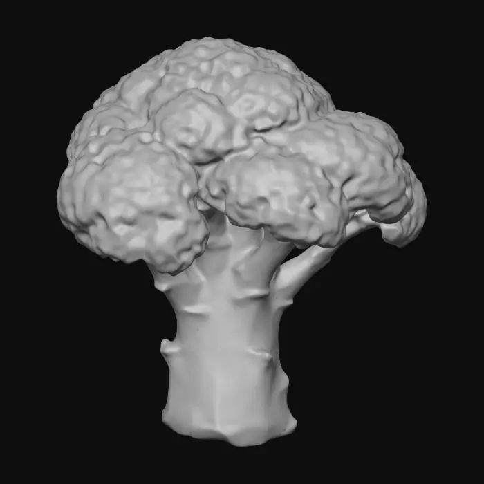 3D model for 一小块切开的西兰花,具有紧密的深绿色花球,表面呈颗粒状的粗糙纹理。其圆柱形茎部颜色较浅,外皮略显光滑。横切面清晰可见,展现出茎部内部淡绿色或白色、呈放射状或同心圆排列的纤维结构,以及花球内部更细小的颗粒状组织。整体形状不规则,边缘有新鲜切口的痕迹,质地坚实略带韧性。