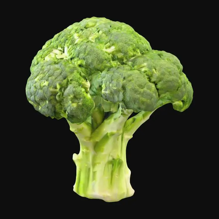 3D model for 一小块切开的西兰花,具有紧密的深绿色花球,表面呈颗粒状的粗糙纹理。其圆柱形茎部颜色较浅,外皮略显光滑。横切面清晰可见,展现出茎部内部淡绿色或白色、呈放射状或同心圆排列的纤维结构,以及花球内部更细小的颗粒状组织。整体形状不规则,边缘有新鲜切口的痕迹,质地坚实略带韧性。