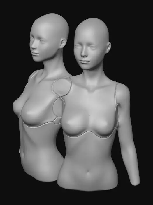 3D model for Duality of Form