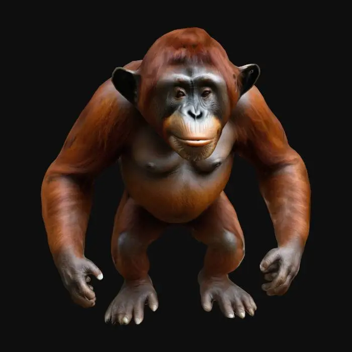 3D model for Orangutan, humanoid, A pose
