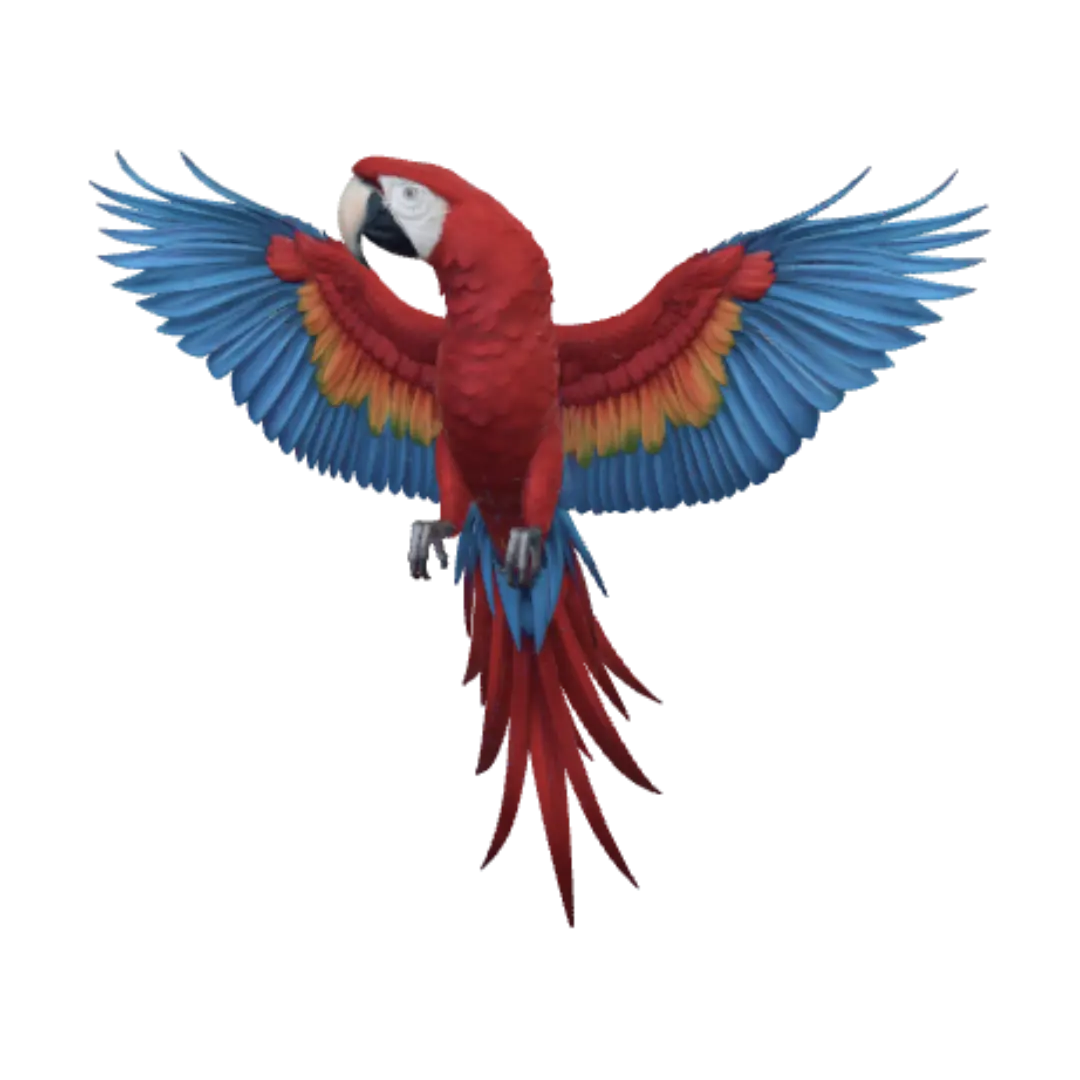 parrot