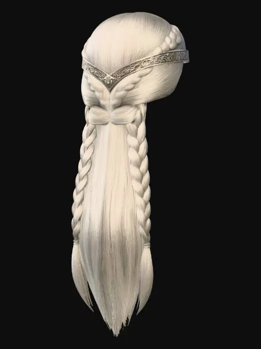 3D model for Northern Braids