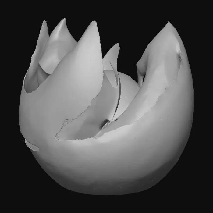 3D model for Firefox Logo