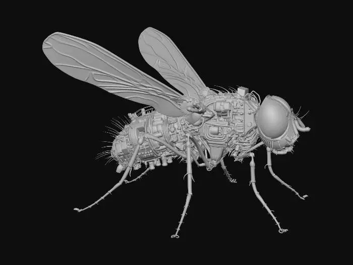 3D model for CIRCUITFLY