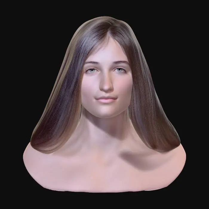 3D model for AMANDA B.