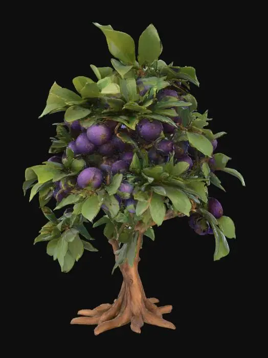 3D model for Un arbuste fruitier robuste et compact, aux branches noueuses de bois brun clair et à l'épais feuillage d'un vert luxuriant et mat. Des grappes de petits fruits sphériques, d'un violet profond, pendent généreusement, affichant une peau légèrement duveteuse et un aspect juteux. Les feuilles sont flexibles, avec des nervures subtiles, et l'écorce est finement texturée, évoquant une croissance saine et abondante.