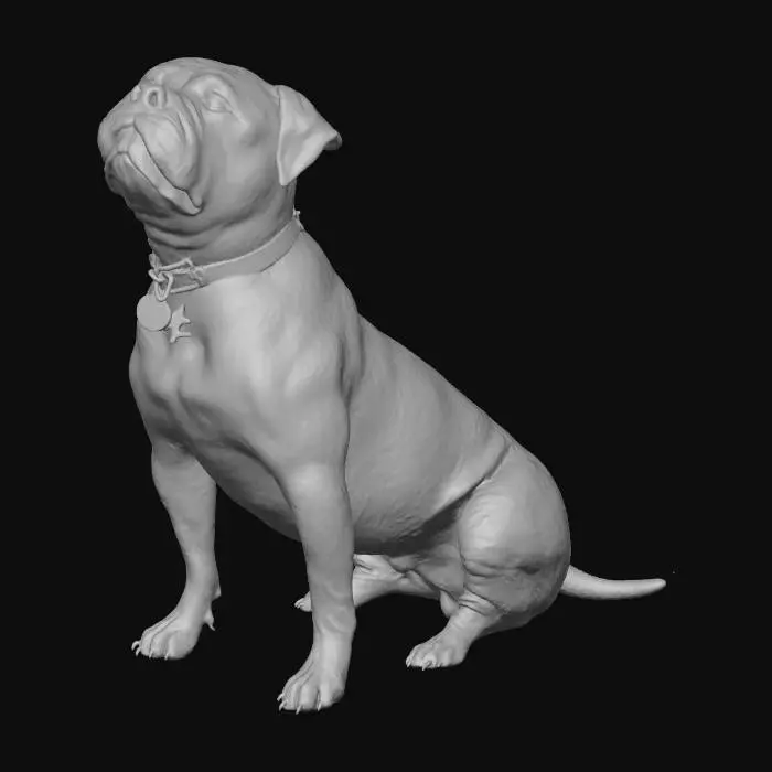 3D model for Dog Sitting on Wooden Floor