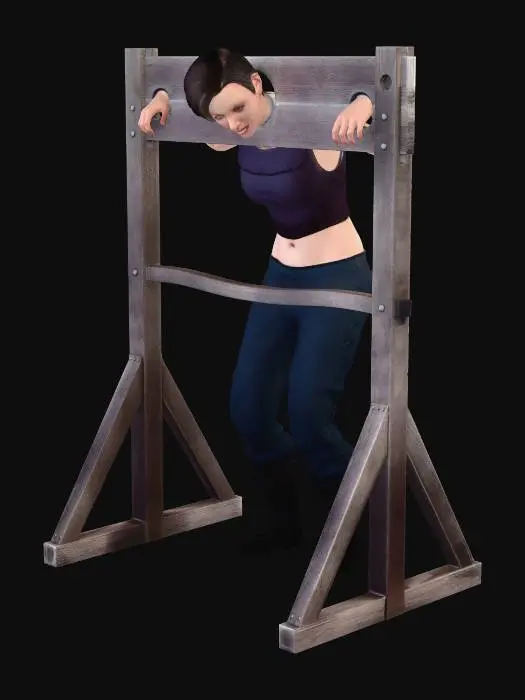 3D model for In the Stocks