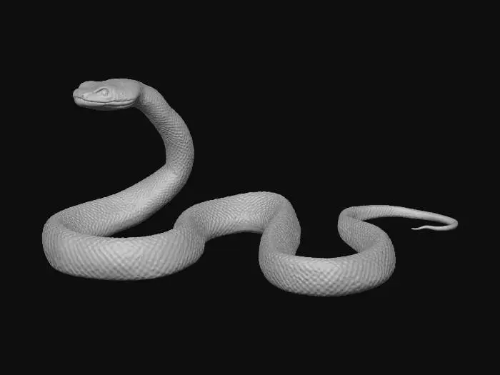 3D model for Serpentine Elegance