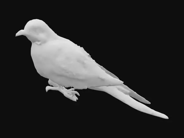 3D model for Vivid Plumage Perch