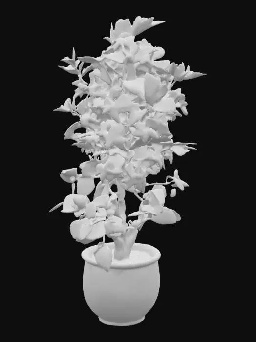 3D model for Jasmin in a Red ceramic pot 