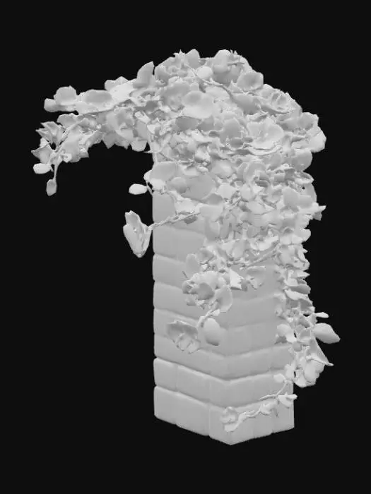 3D model for A bougainvillea on a white-washed stone wall
